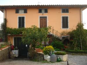 Azienda Agricola in vendita a Montecarlo