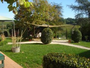Azienda Agricola in vendita a Montecarlo