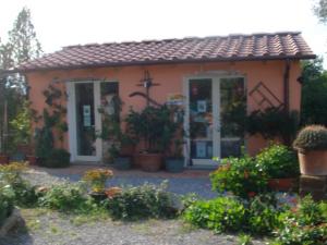 Azienda Agricola in vendita a Montecarlo