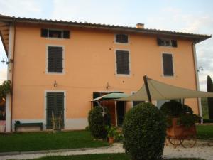 Azienda Agricola in vendita a Montecarlo