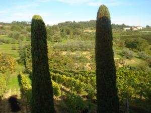Azienda Agricola in vendita a Montecarlo