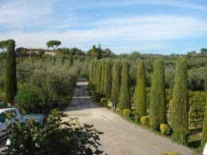 Azienda Agricola in vendita a Montecarlo