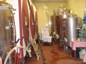 Azienda Agricola in vendita a Montecarlo
