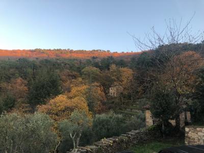 Rustico in vendita a Capannori