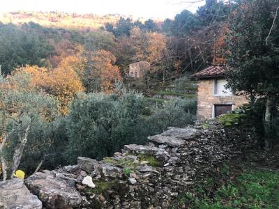 Rustico in vendita a Capannori