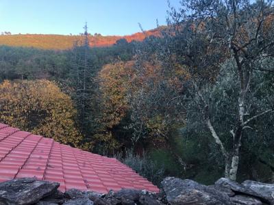 Rustico in vendita a Capannori