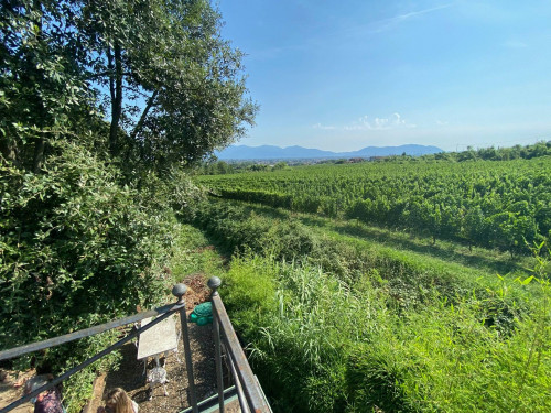 Villa in vendita a Lucca