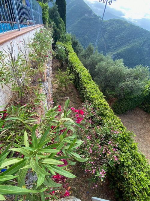 Farmhouse for sale in Pietrasanta