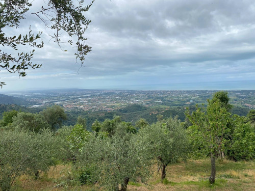 Farmhouse for sale in Pietrasanta