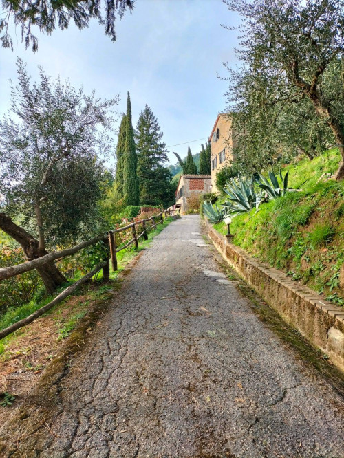 Rustico in vendita a Capannori