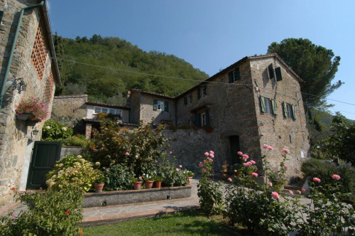 Rustico in vendita a Capannori
