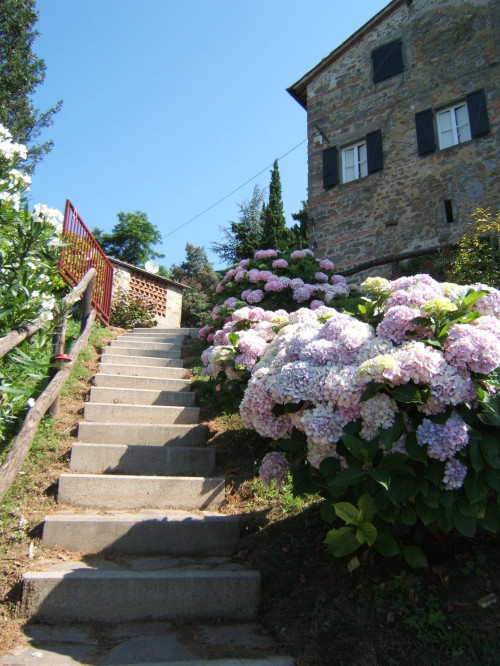 Rustico in vendita a Capannori
