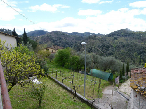 Casa singola in Vendita a Camaiore