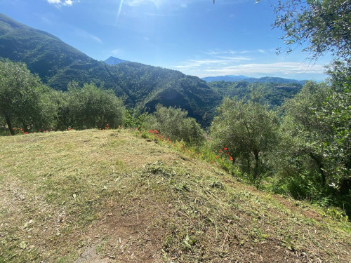 Farmhouse for sale in Pietrasanta