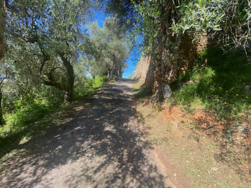 Farmhouse for sale in Pietrasanta