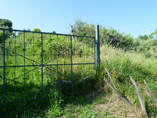 Rustico in vendita a Capannori
