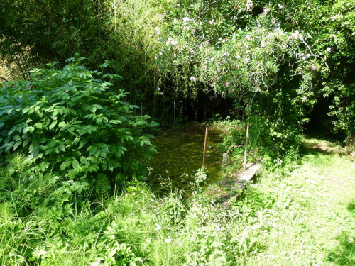 Rustico in vendita a Capannori