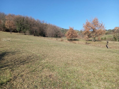 Rustico in vendita a Lucca
