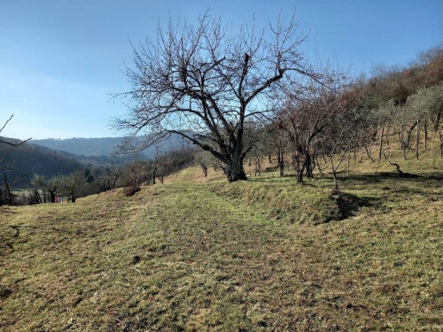 Rustico in vendita a Lucca