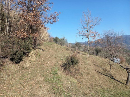 Rustico in vendita a Lucca