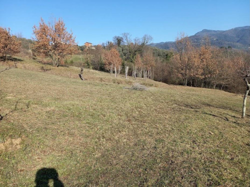 Rustico in vendita a Lucca