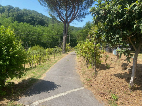 Rustico in vendita a Lucca
