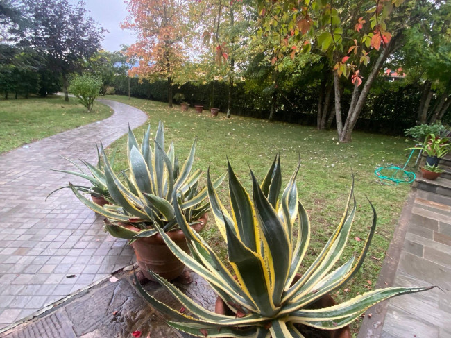 Villa in vendita a Lucca