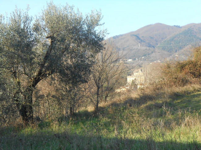 Rustico in vendita a Capannori
