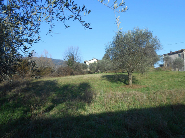 Rustico in vendita a Capannori