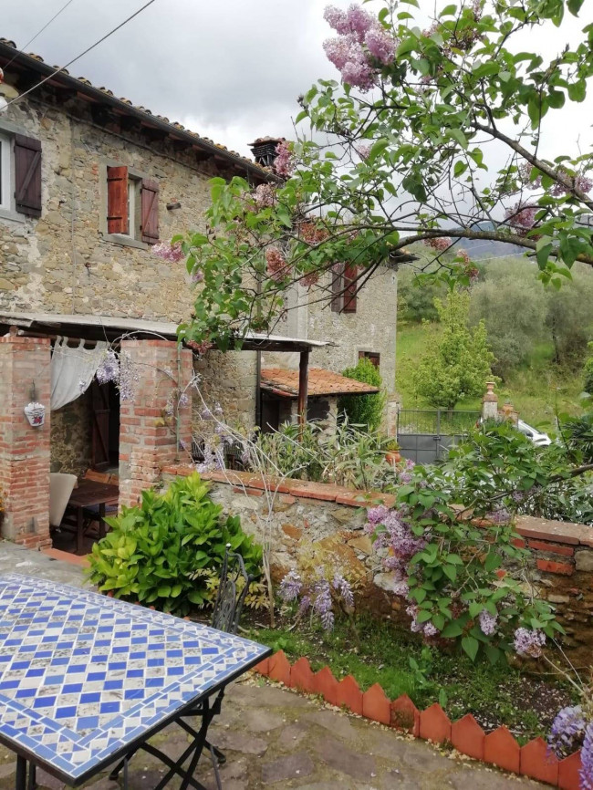 Farmhouse for sale in Capannori