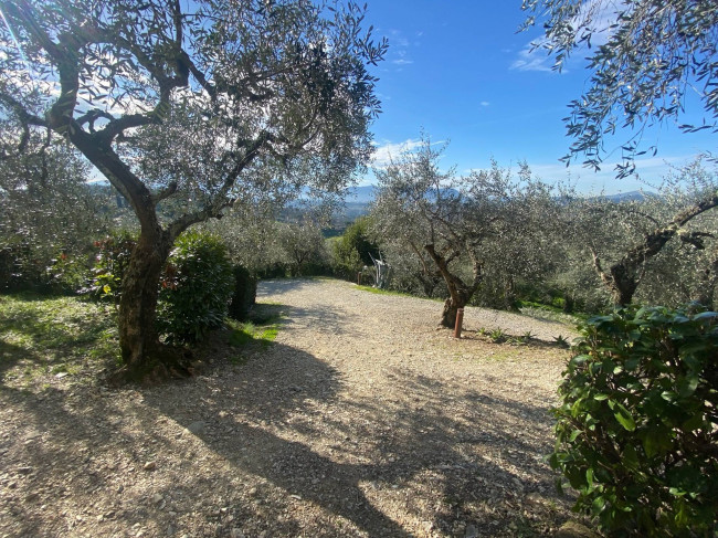 Villa in vendita a Lucca