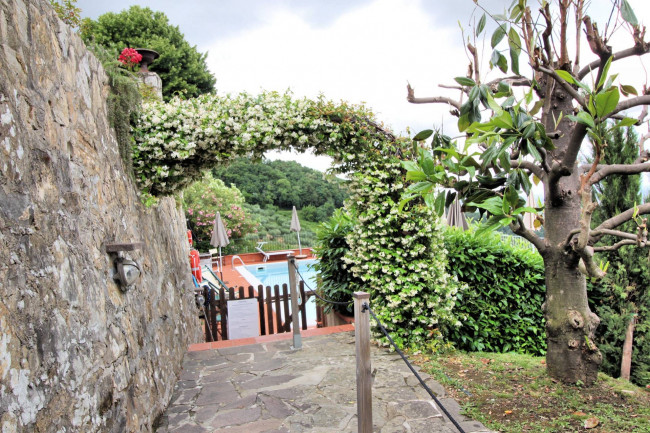 countryhouse for sale in Lucca