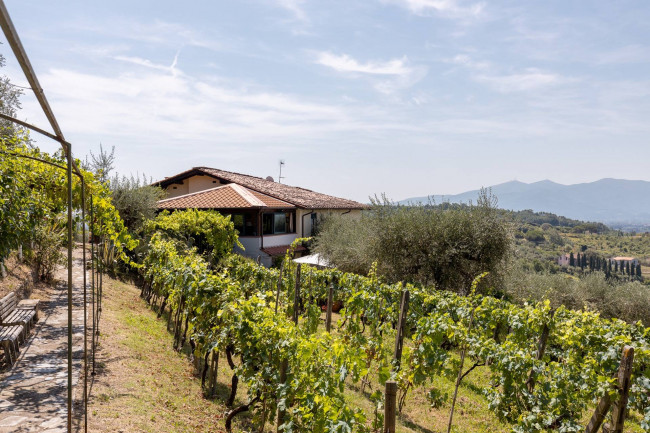 Villa in vendita a Lucca