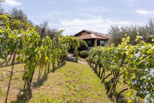 Villa in vendita a Lucca