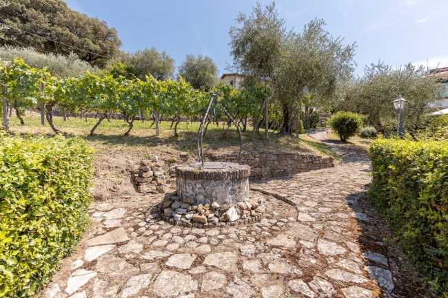 Villa in vendita a Lucca
