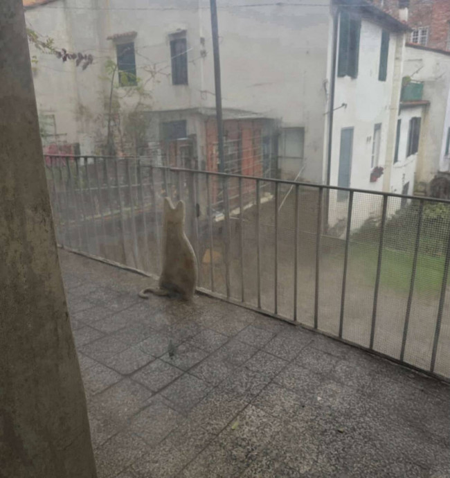 Apartment for sale in Lucca