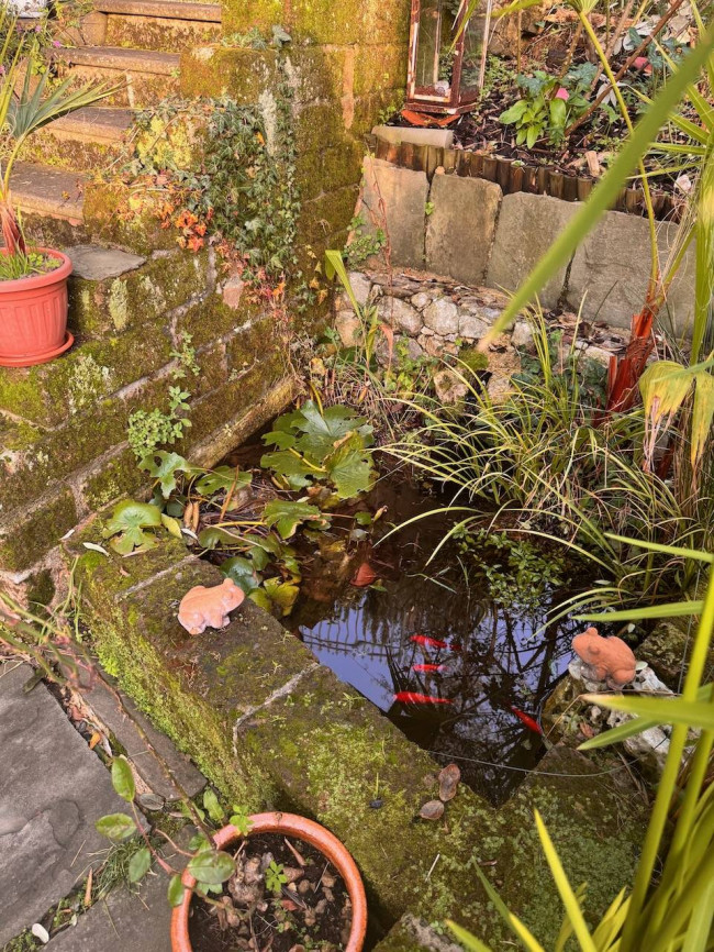 Casale in vendita a Massarosa