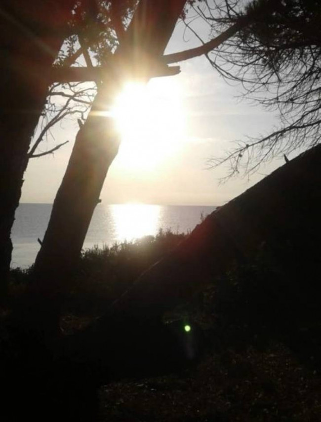 Appartamento in vendita a Porto-Vecchio