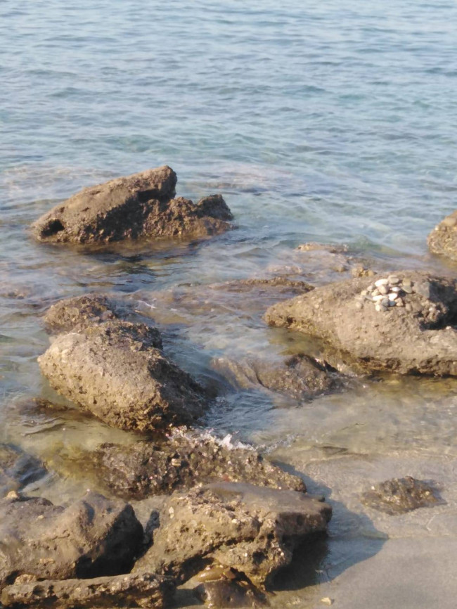 Appartamento in vendita a Porto-Vecchio