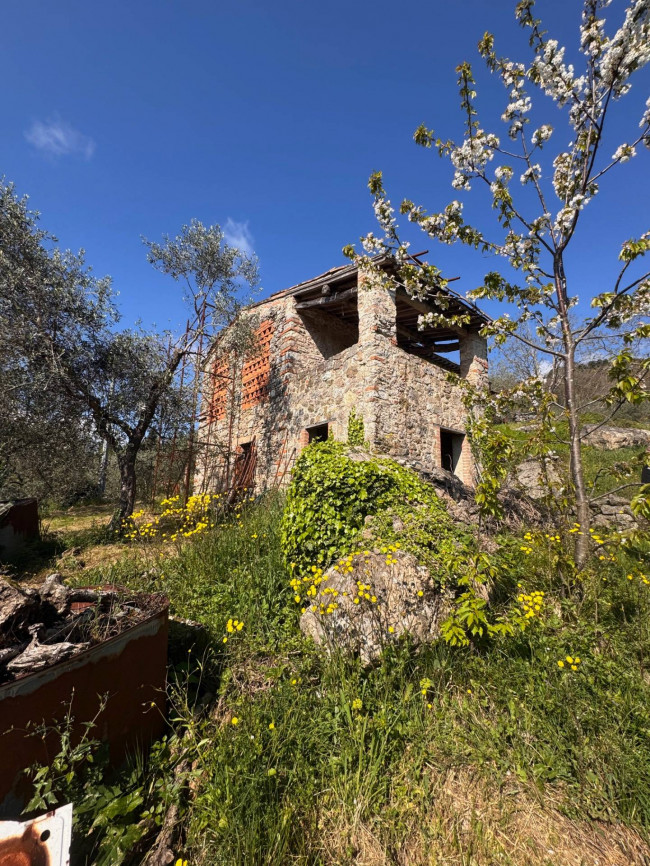 Farmhouse for sale in Lucca