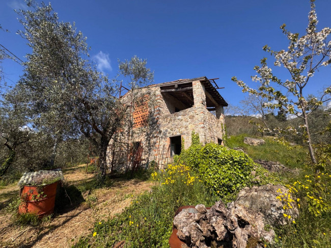 Farmhouse for sale in Lucca