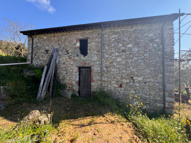 Farmhouse for sale in Lucca
