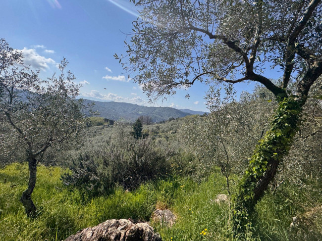 Farmhouse for sale in Lucca
