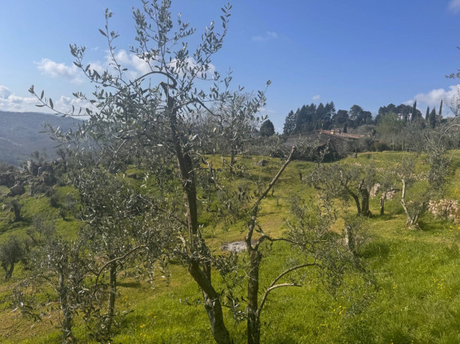Farmhouse for sale in Lucca