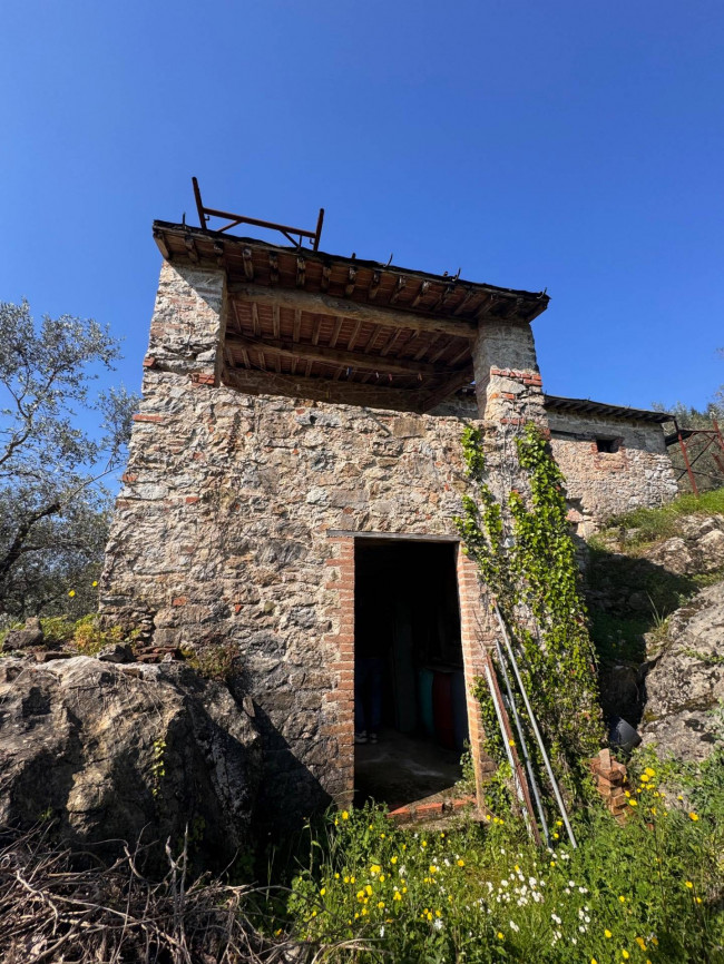 Farmhouse for sale in Lucca