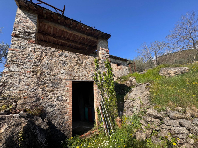 Farmhouse for sale in Lucca