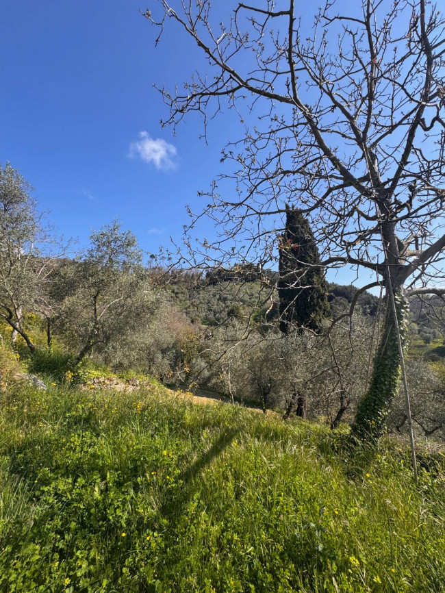 Farmhouse for sale in Lucca