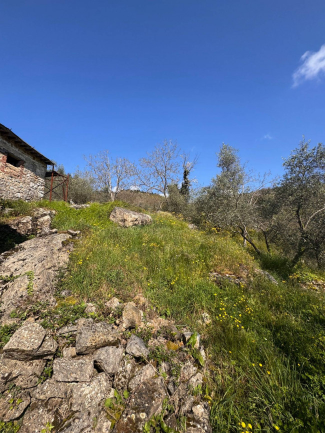 Farmhouse for sale in Lucca