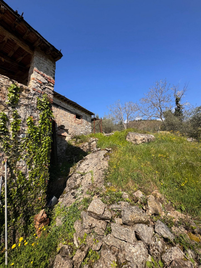 Farmhouse for sale in Lucca