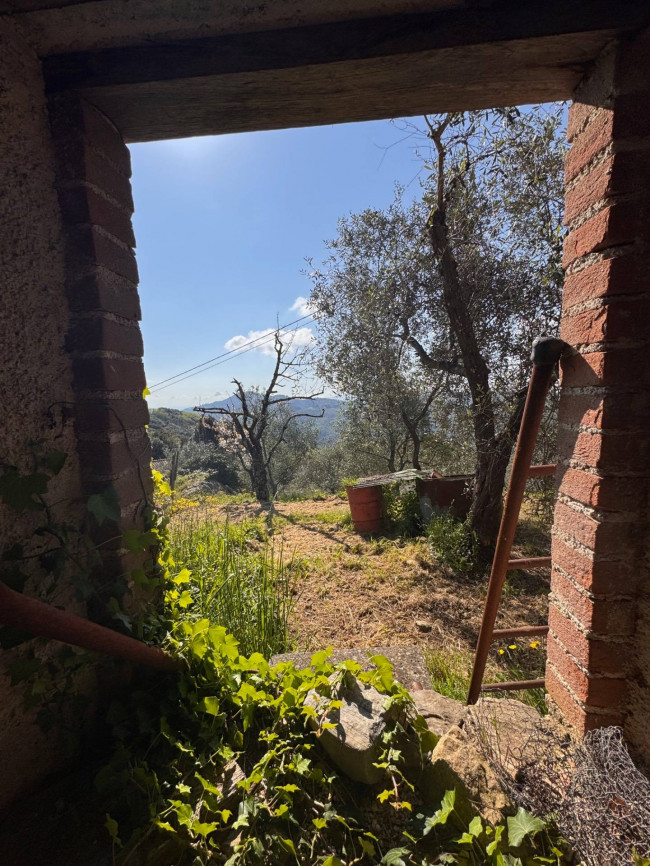 Farmhouse for sale in Lucca